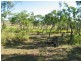14 Craigie Court, Bowen QLD 4805