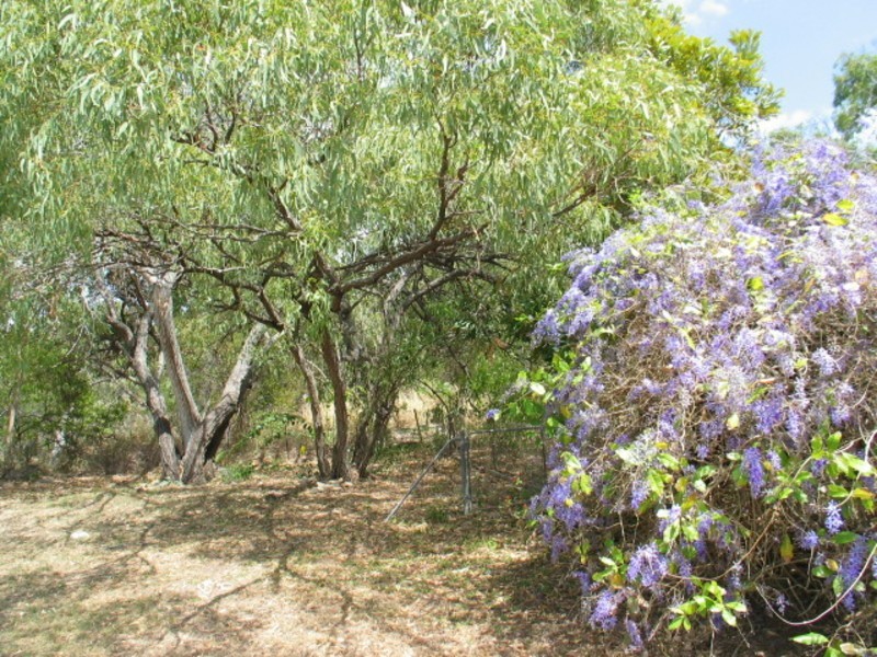 5 Pandanus Street, Bowen QLD 4805