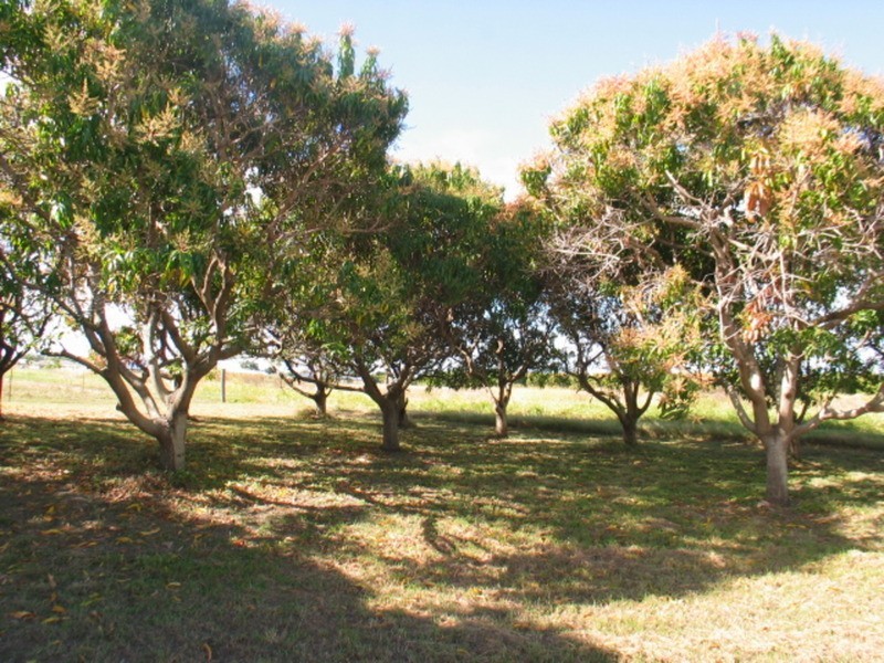 29 Potts Road, Bowen QLD 4805