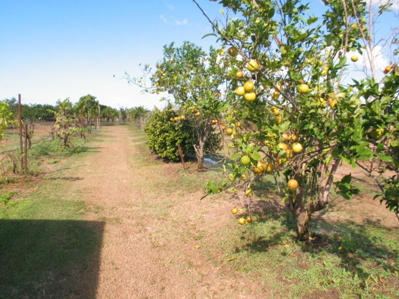 240 East Euri Road, Bowen QLD 4805