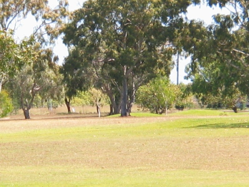 117 Soldiers Road, Bowen QLD 4805