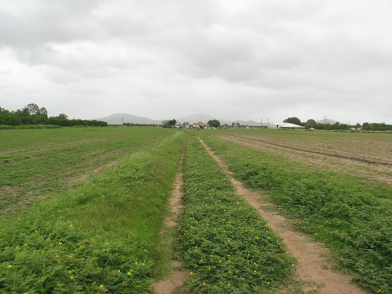 Lot 1 Collinsville Road, Bowen QLD 4805