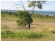 91 Ocean View Drive, Bowen QLD 4805