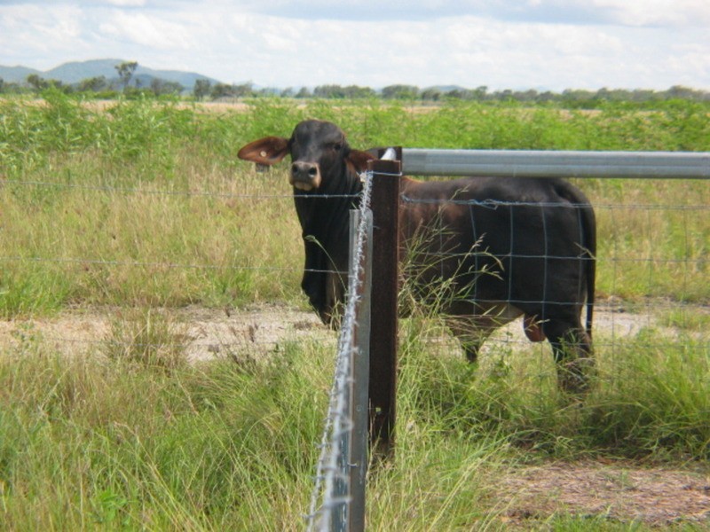 Lot 6 Herman’s Road, Bowen QLD 4805