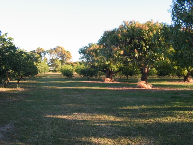 299 Inverdon Road, Bowen QLD 4805