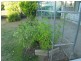 46 Wests Lane, Bowen QLD 4805