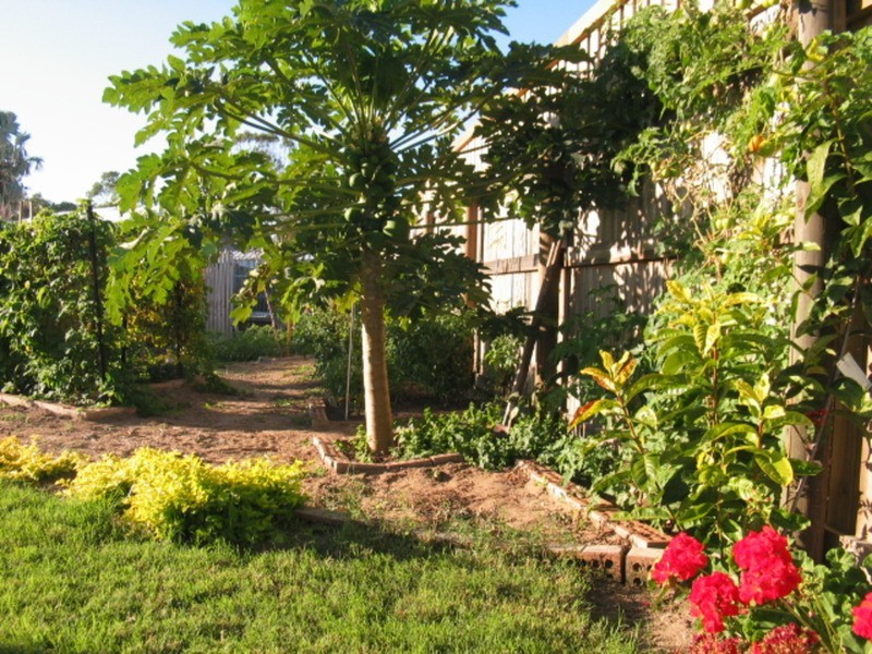 32 Emmerson Drive, Bowen QLD 4805