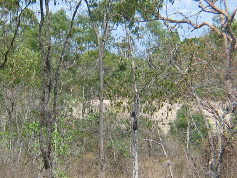 Lot 59 Bootooloo Road, Bowen QLD 4805