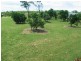53 Africandar Road, Bowen QLD 4805