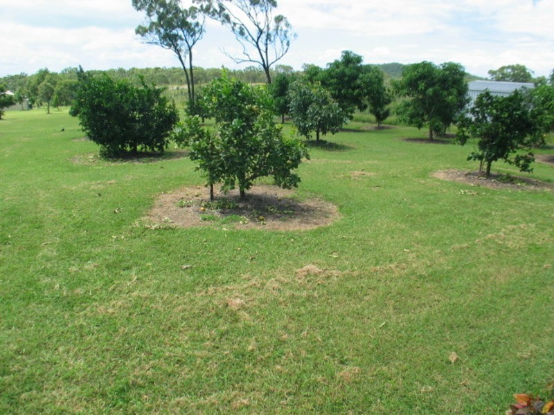 53 Africandar Road, Bowen QLD 4805