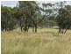 69 Brampton Drive, Bowen QLD 4805