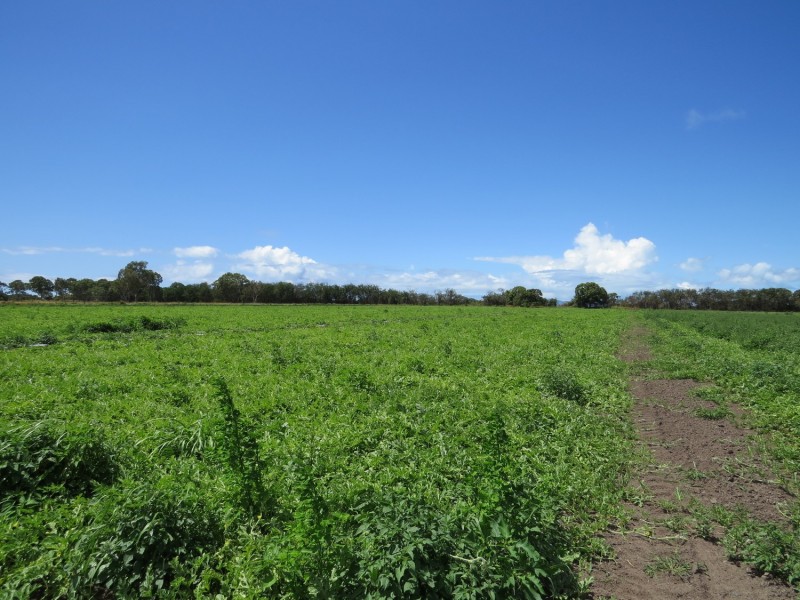 Lot 2 Sandy Lane, Bowen QLD 4805