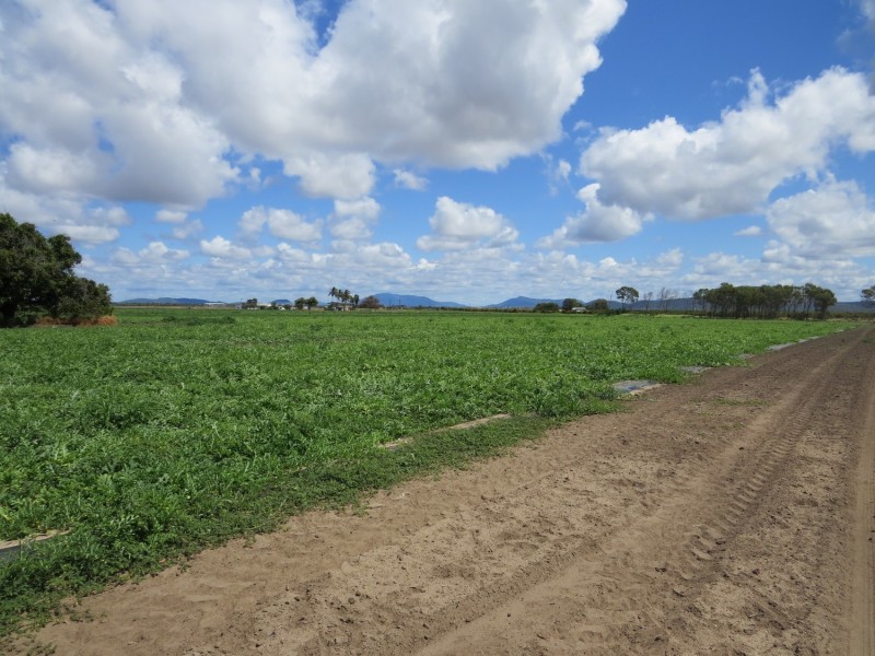 Lot 2 Sandy Lane, Bowen QLD 4805