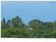 126 Mt Nutt Road, Bowen QLD 4805