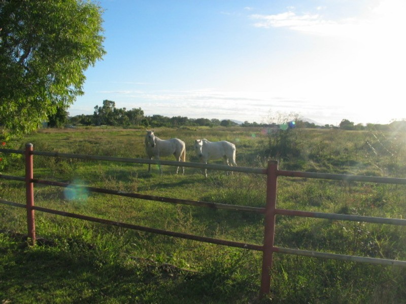 49 Avoca Road, Bowen QLD 4805