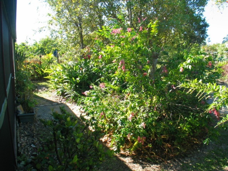 54 Gloucester Street, Bowen QLD 4805