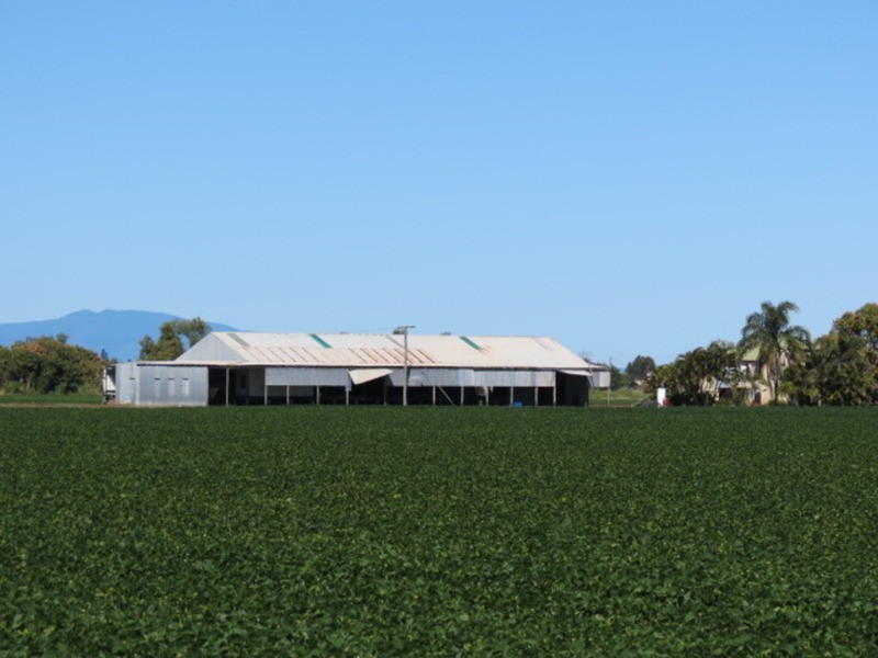 167 Flemington Road, Bowen QLD 4805