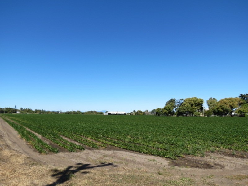 167 Flemington Road, Bowen QLD 4805