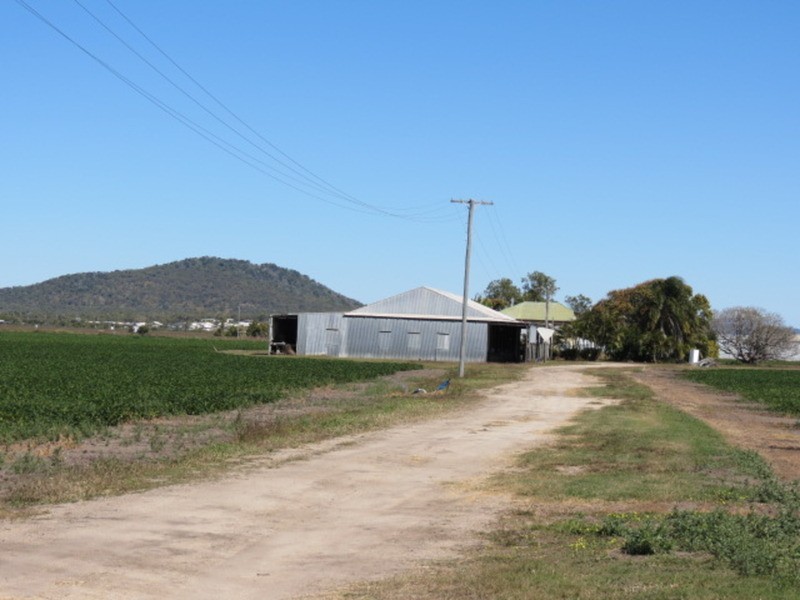 167 Flemington Road, Bowen QLD 4805