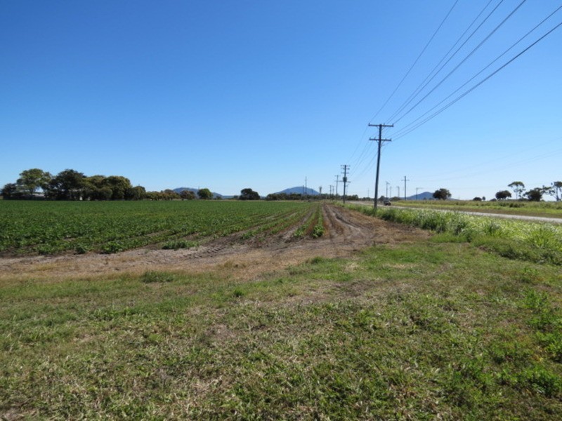 167 Flemington Road, Bowen QLD 4805