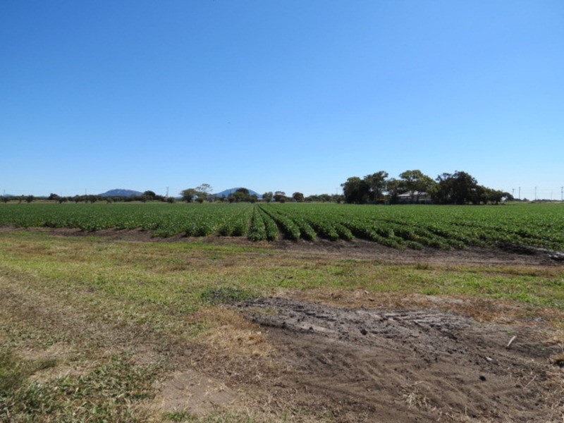 167 Flemington Road, Bowen QLD 4805