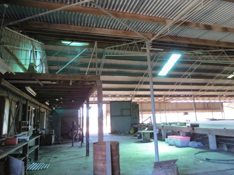 167 Flemington Road, Bowen QLD 4805