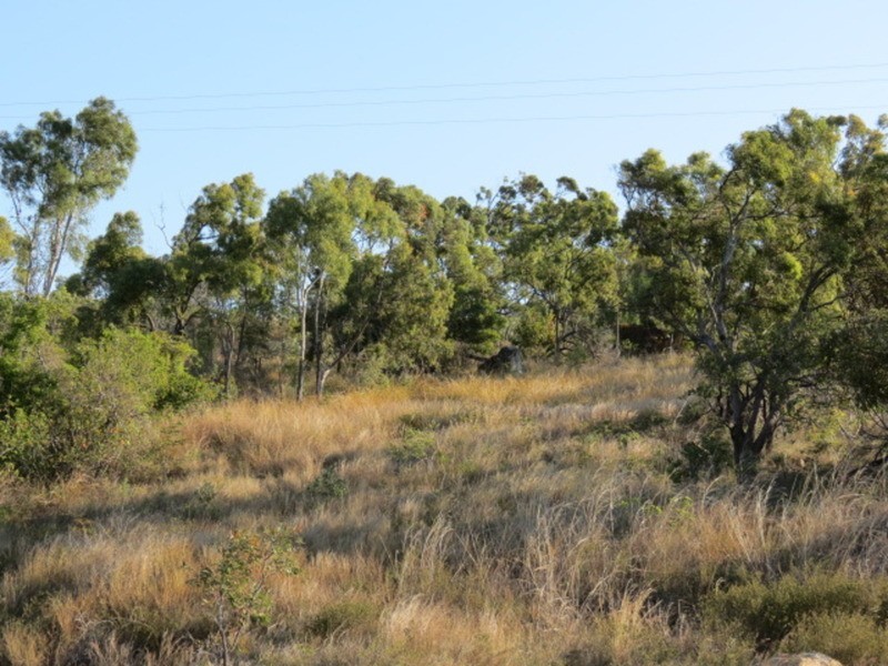 Lot 232 Bruce Highway, Bowen QLD 4805