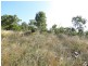 Lot 232 Bruce Highway, Bowen QLD 4805