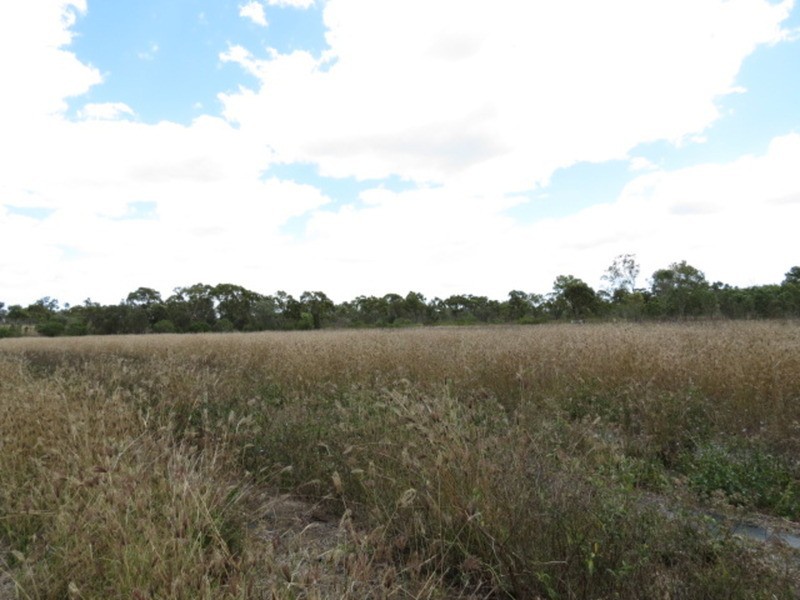 65 Gee Dee Road, Bowen QLD 4805