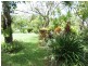 38 Drays Road, Bowen QLD 4805