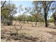 38 Drays Road, Bowen QLD 4805