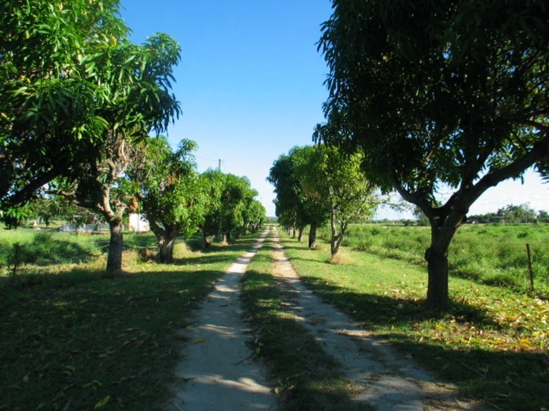 40 Inverdon Road, Bowen QLD 4805