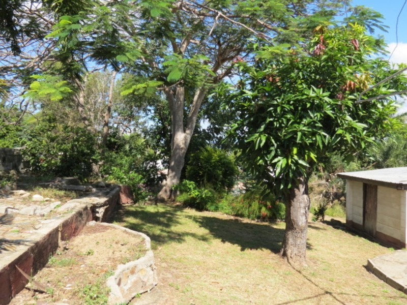 77 Livingstone Street, Bowen QLD 4805