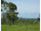 Lot 10 Africandar Road, Bowen QLD 4805