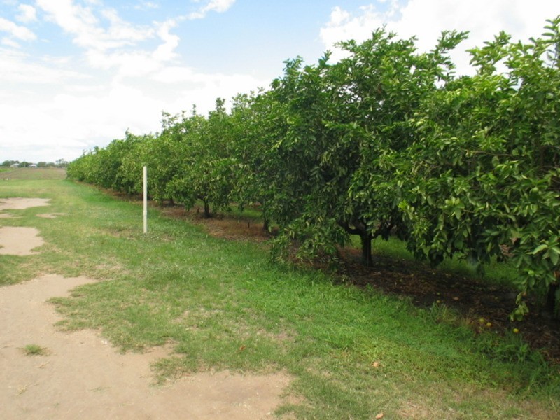 Lot 2 Railway Road, Bowen QLD 4805