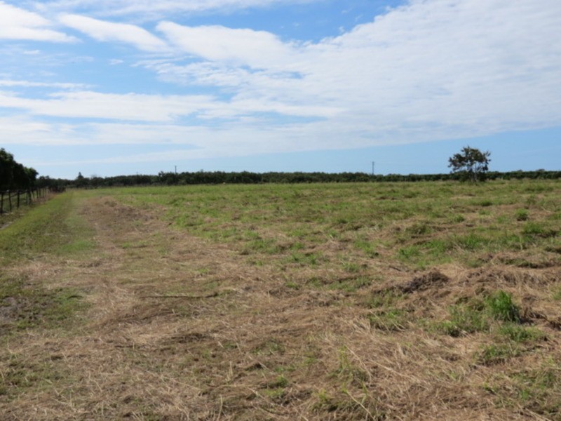 Lot 11 Kelsey Road, Bowen QLD 4805