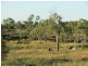 Lot 11 Bruce Highway, Bowen QLD 4805