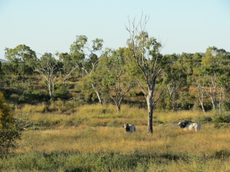 Lot 11 Bruce Highway, Bowen QLD 4805