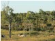 Lot 11 Bruce Highway, Bowen QLD 4805