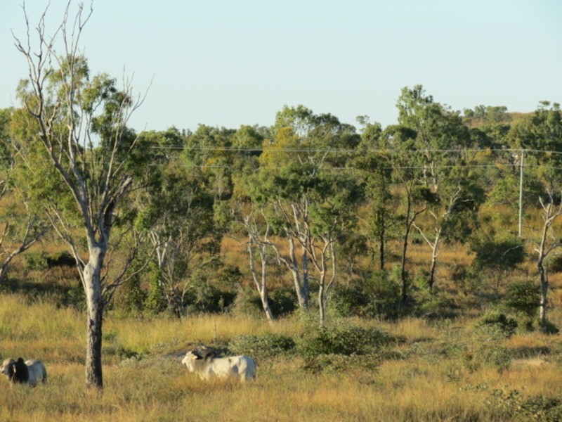 Lot 11 Bruce Highway, Bowen QLD 4805