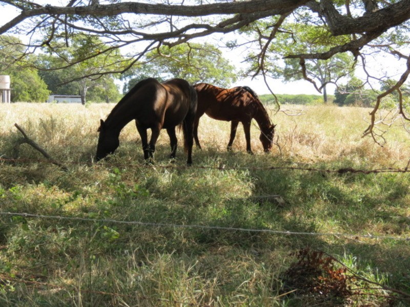 22 Murray Avenue, Bowen QLD 4805