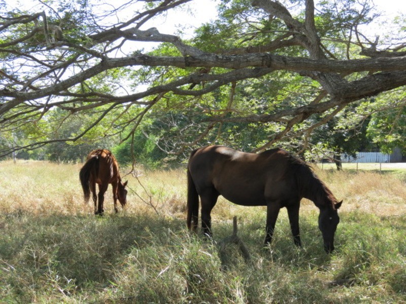 22 Murray Avenue, Bowen QLD 4805