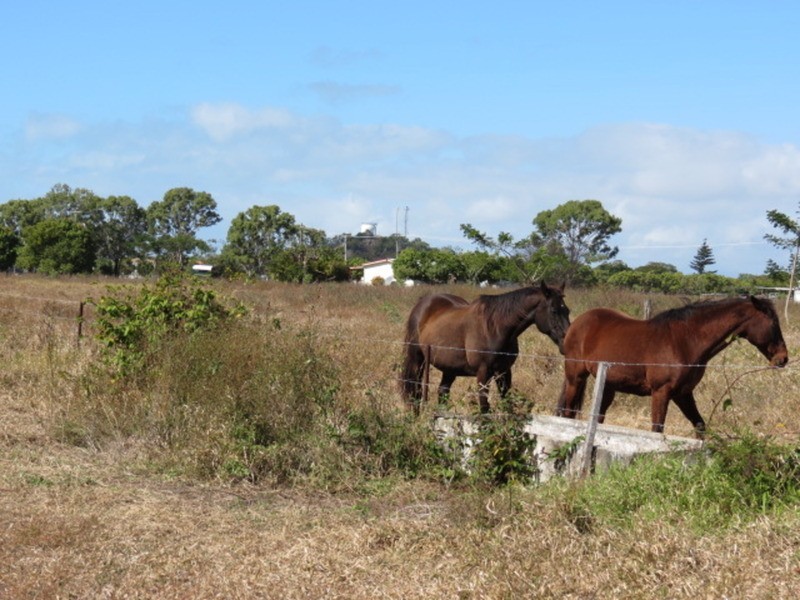 22 Murray Avenue, Bowen QLD 4805