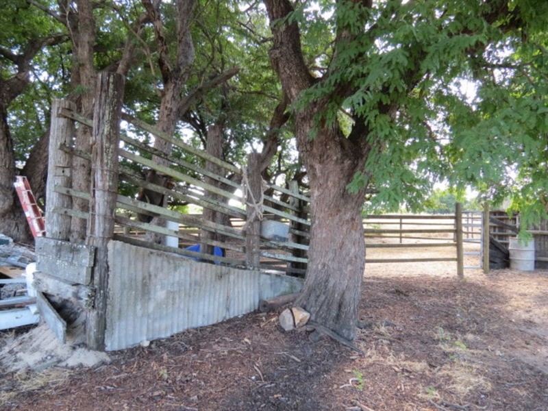 22 Murray Avenue, Bowen QLD 4805