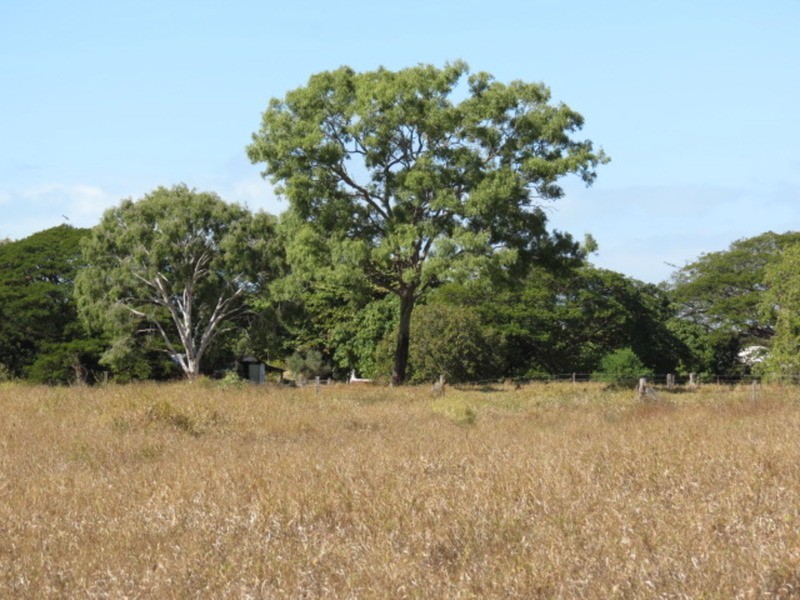 22 Murray Avenue, Bowen QLD 4805