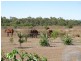 745 Bootooloo Road, Bowen QLD 4805