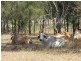 1991 Collinsville Road, Bowen QLD 4805
