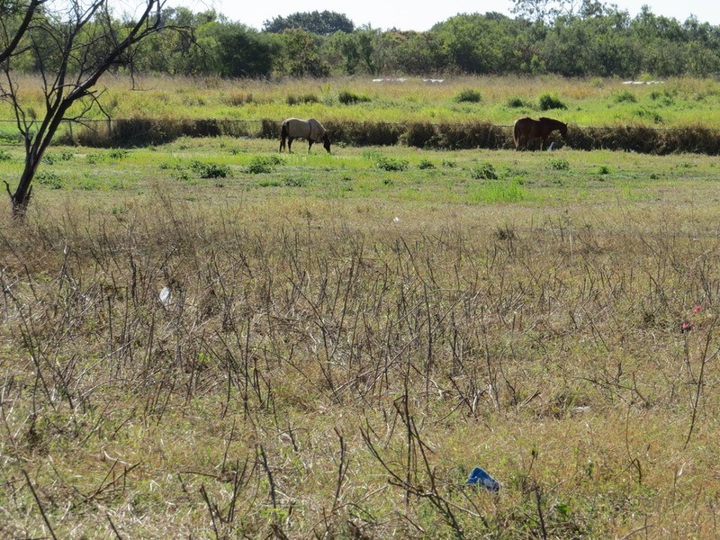 21 Storey Street, Bowen QLD 4805