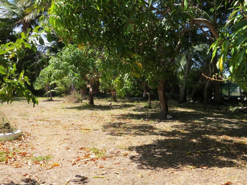 50 Holborne Street, Bowen QLD 4805