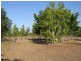 49 Arratta Road, Bowen QLD 4805